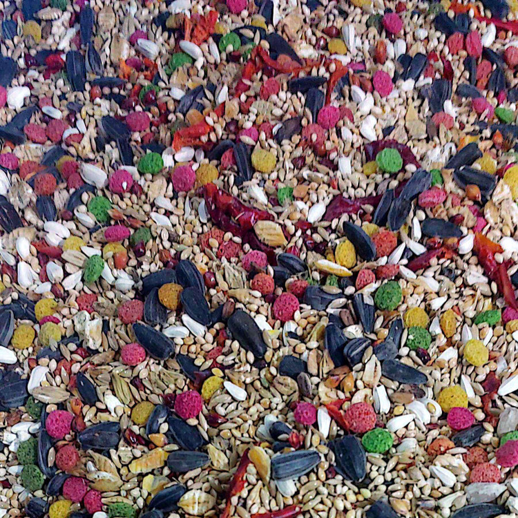 غذای عروس هلندی و طوطیسانان کوچک سپهردانه بسته 1 کیلوگرم (پس کرایه)